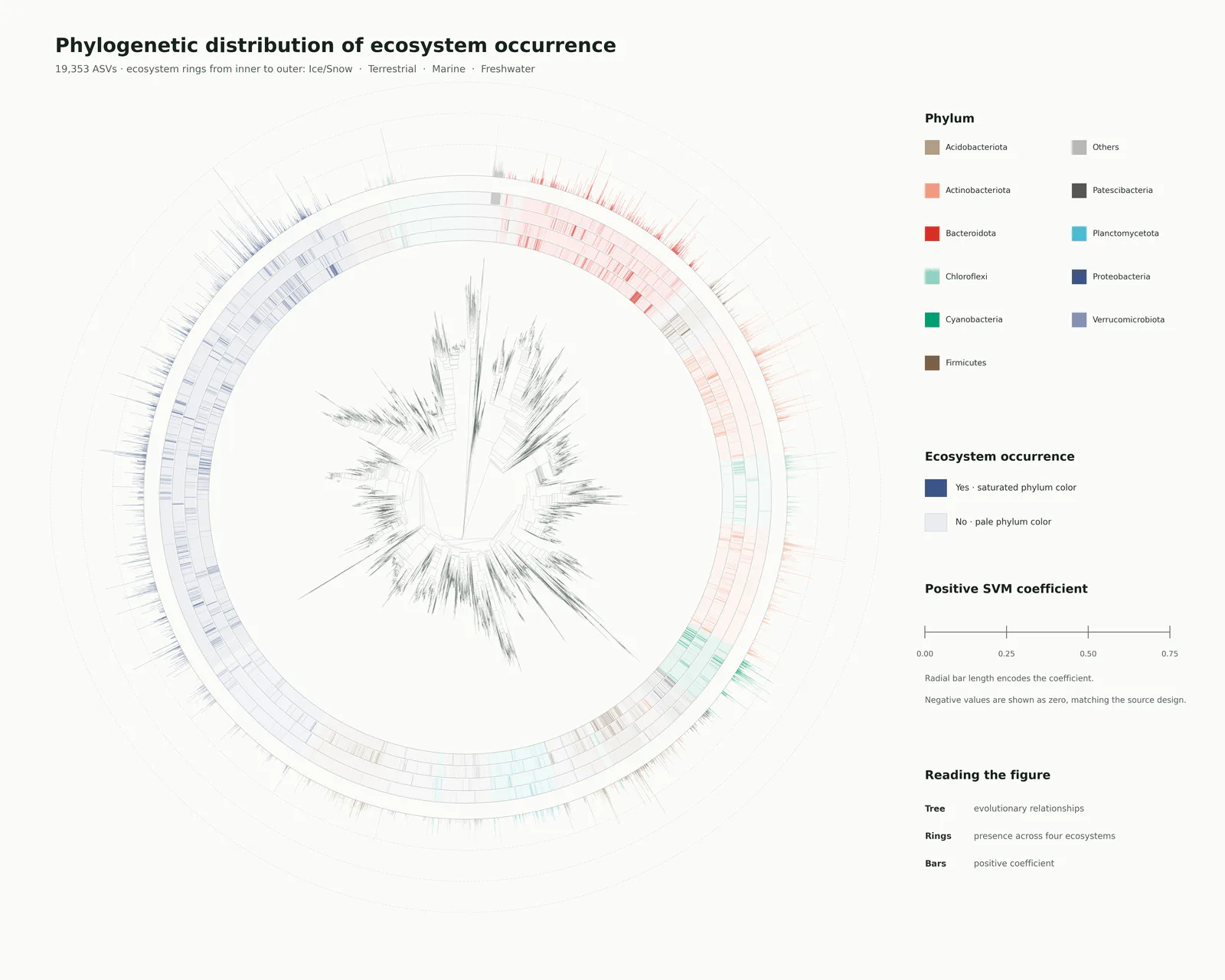 Phylogenetic Tree Outer Heatmap Bars预览图
