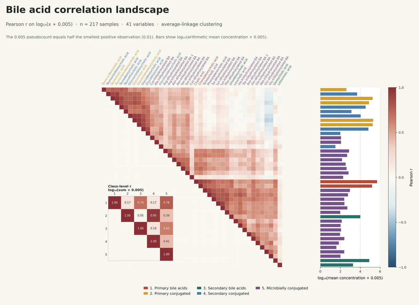 Correlation Heatmap Marginal Bars预览图