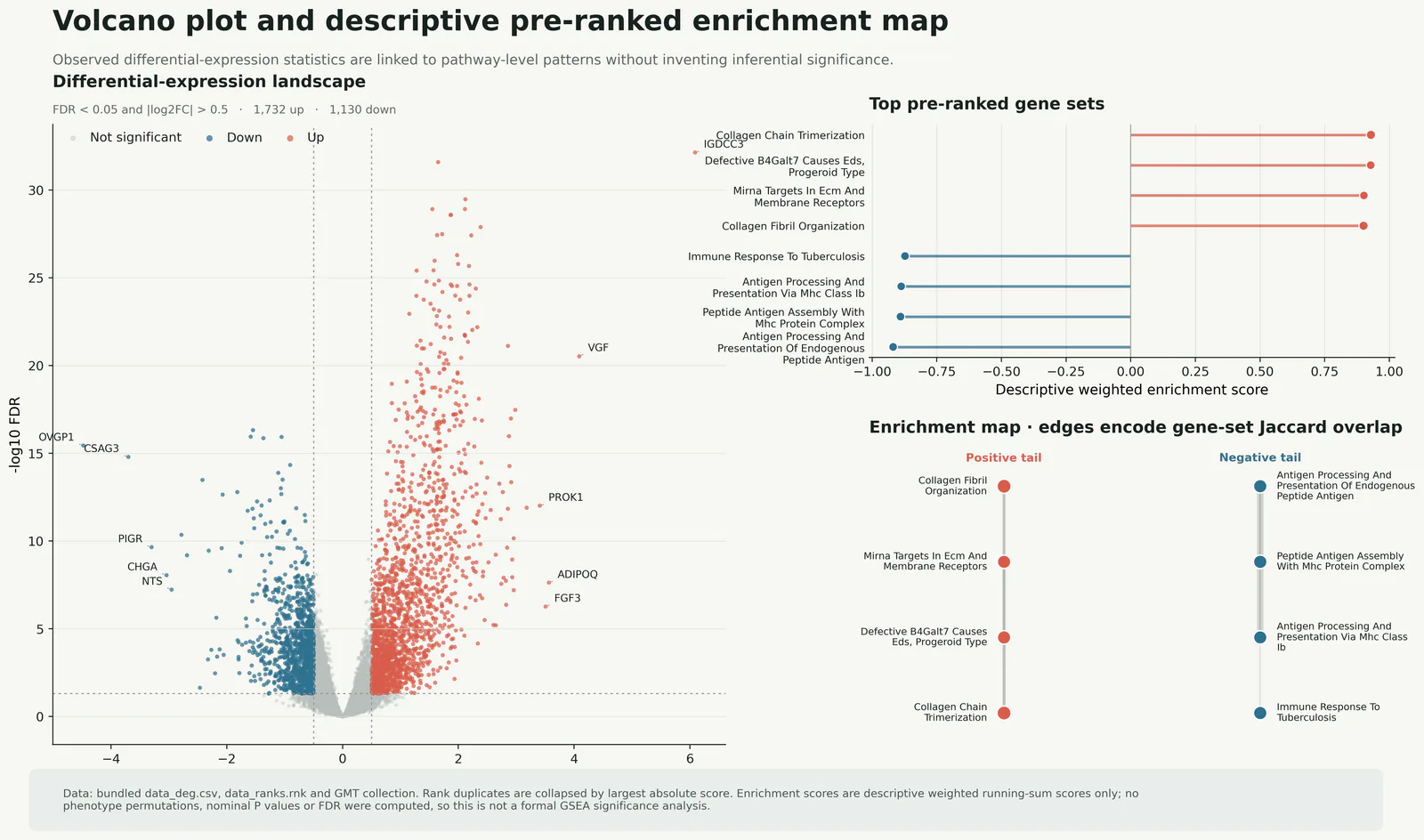 Volcano Descriptive GSEA Enrichment Map预览图