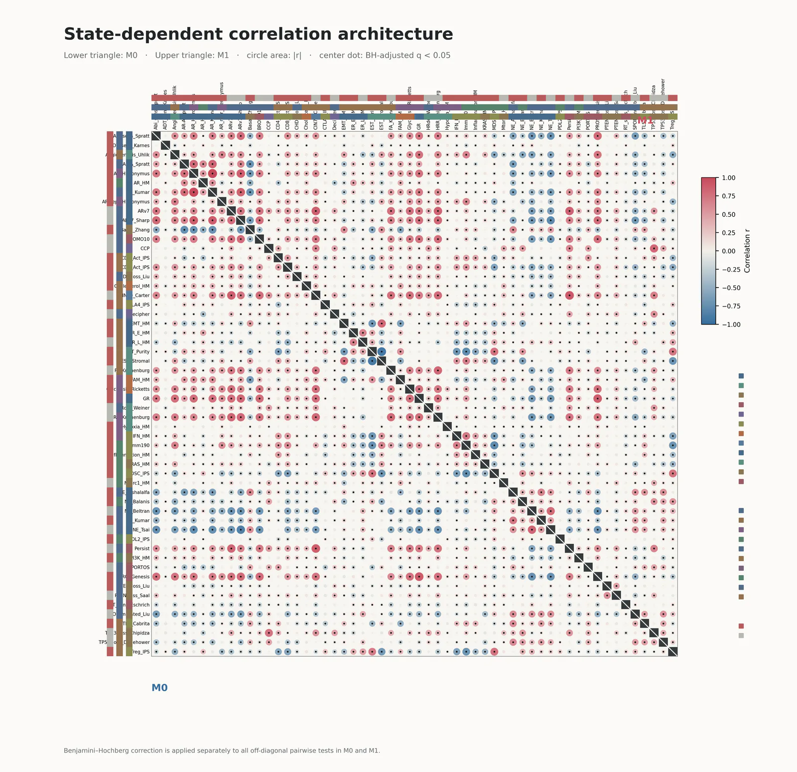 Dual Triangular Correlation Heatmap预览图